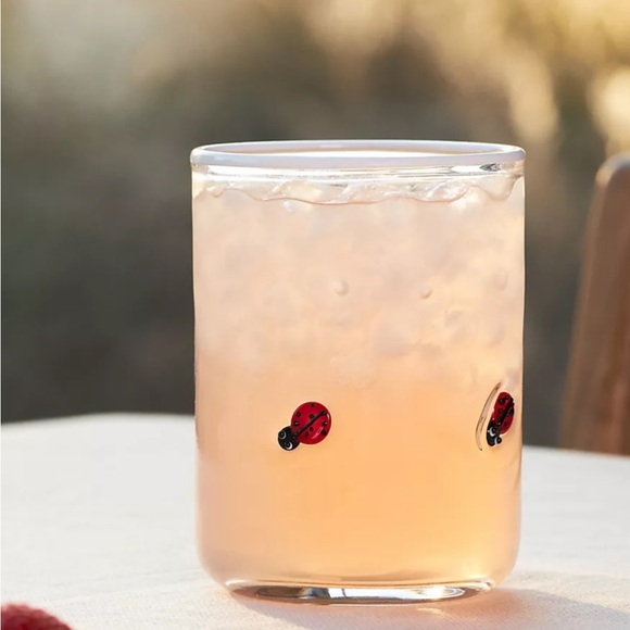 Anthropologie Other - Anthropologie ladybug glasses